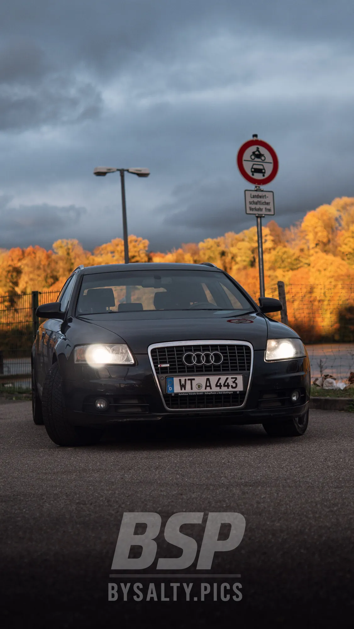 Schwarzer Audi A6 Avant frontal vor herbstlich leuchtendem Hang und dramatischem Himmel